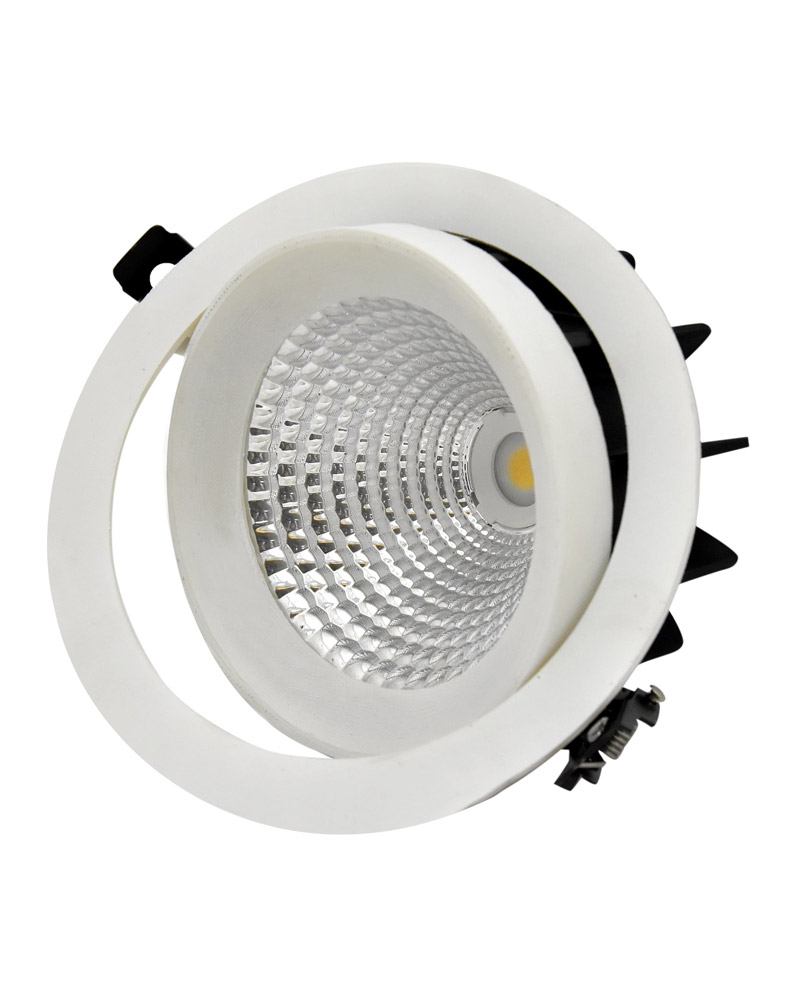 30WATTS COB SPOTLIGHT