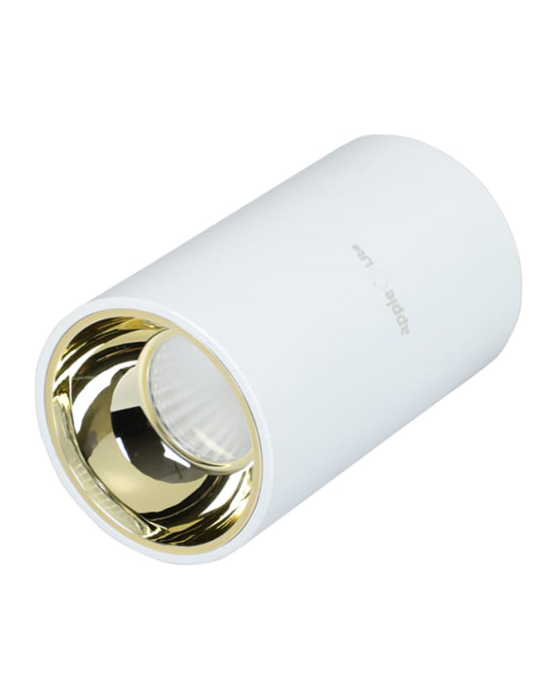 18WATTS COB SPOTLIGHT (Copy)